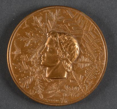 null 1968. Grenoble. Médaille officielle de participant. En bronze. Graveur Coeffin....