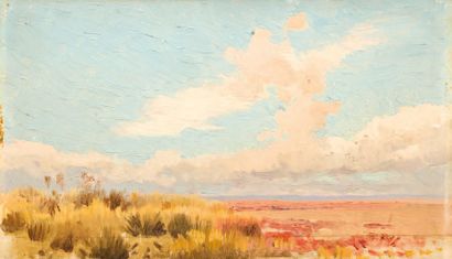 PRANISHNIKOFF Ivan Petrovitch (1841-1909). Vue de Camargue. Huile sur panneau. L.:...