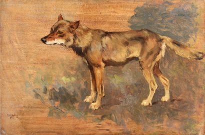 Georges Frédéric ROTIG (1873-1961) Etude de loup
Huile sur panneau de bois (citronnier).
Signé...