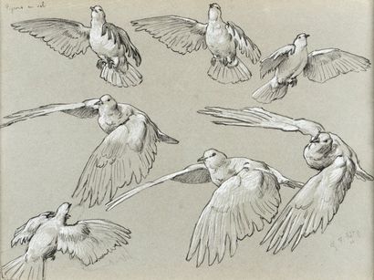 Georges Frédéric ROTIG (1873-1961) Etudes de pigeons au vol
Crayons sur papier.
Annoté...