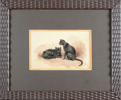 Georges Frédéric ROTIG (1873-1961) Deux chats noirs
Aquarelle gouachée sur papier.
Signé...