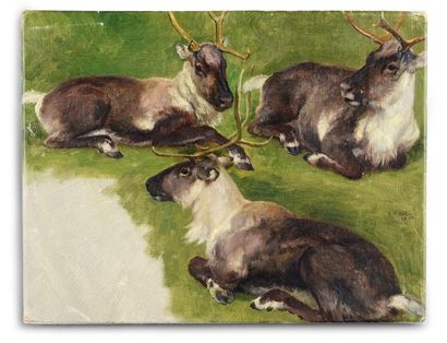 Georges Frédéric ROTIG (1873-1961) Etudes de rennes
Huile sur toile marouflé sur...