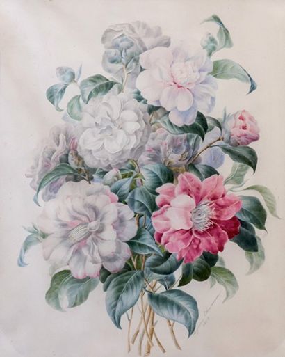 Augustine CHOUVEROUX, milieu XIXe siècle 
Bouquet de fleurs.
Gouache sur velin, signée...