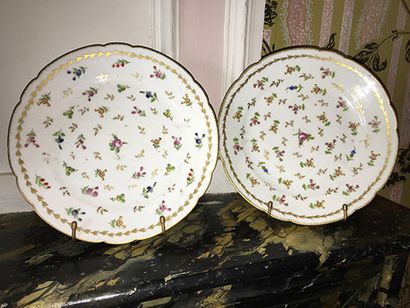 PARIS, XVIIIe siècle 
Deux assiettes en porcelaine à décor polychrome de semis de...