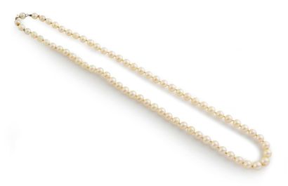null Lot de 3 collier de perles de culture en chute, fermoir en or 18K (750°/°°).
Poids...