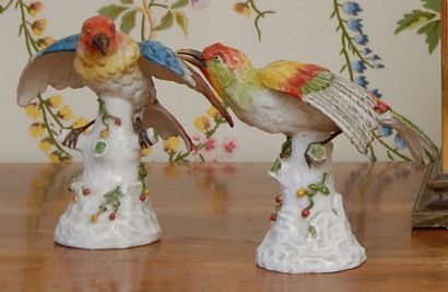 null Deux oiseaux en porcelaine polychrome. Allemagne XIXe siècle. H. : 16 cm