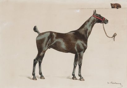 Charles Ferdinand de CONDAMY (1847-1910) Cheval au licol rouge Aquarelle signée en...