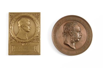 null François-Joseph, empereur d'Autriche. Médaille en bronze, signée J. Tautenhayn...