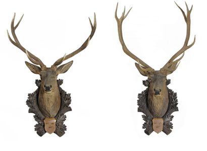 null Exceptionnelle paire de têtes de cerfs en bois sculpté peint au naturel, sommées...