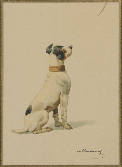 Charles-Ferdinand de CONDAMY (1847-1910) Fox Aquarelle gouachée. 15,5 x 11,5 cm....