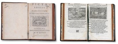 null Livre. Picta poesis de Aneau Barthelemy 1564, Lyon. Poème sur le jeu de paume...