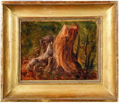 André GIROUX (1801 - 1879) Etude de souche à Civitella Huile sur papier marouflé...