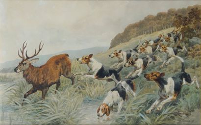 Charles-Ferdinand de CONDAMY (1855-1913) Cerf hallali courant et chiens. Aquarelle...