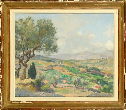 Eugène SELMY (1874 - 1945) Paysage du Midi Huile sur toile signée en bas à gauche...