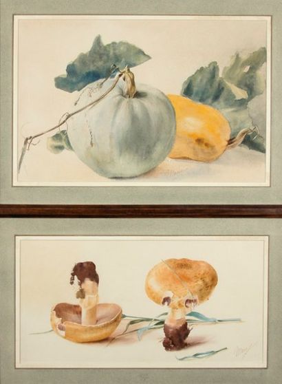 Marie Princesse d'ORLEANS (1865-1909) Citrouilles et Champignons. Deux aquarelles...