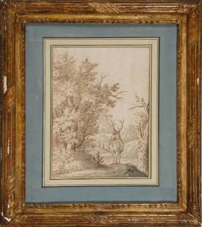 Ecole FRANCAISE du XVIIIe siècle Un cerf dans la forêt Plume et encre brune, lavis...