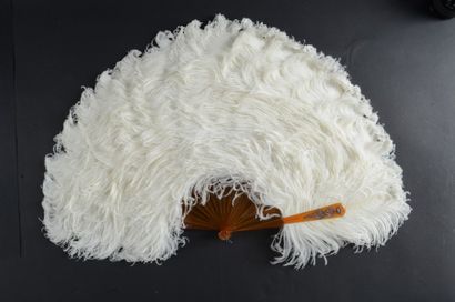 null Plumes blanches, vers 1880-1890
Eventail en plumes d'autruches blanches. Panache...
