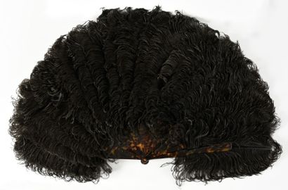 null Eventail en plumes d'autruches noires, vers 1890
Monture en écaille brune (spécimens...