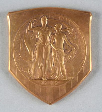 null 1904. St Louis. Médaille de récompense «Grand Prix». En bronze doré.
Dim. 62...