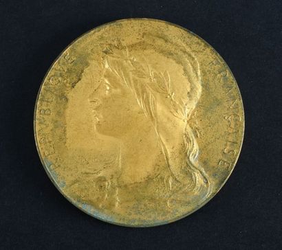 null 1924. Paris. Médaille commémorative de la VIIIème Olympiade d'été. Graveur Arthus...
