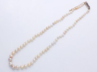 null Collier composé d'une chute de perles légèrement baroques d'environ 3.3 à 7.8...