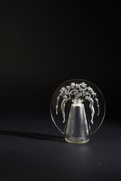 D'Orsay «Leurs Ames» - (années 1910)
Spectaculaire flacon en verre incolore pressé...