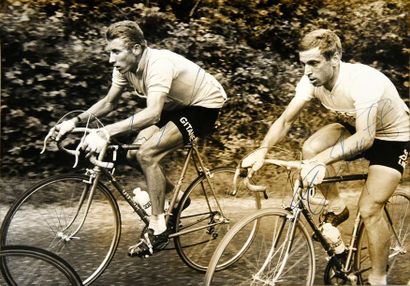 null Photo de presse avec les signatures originales de Jacques Anquetil (maillot...