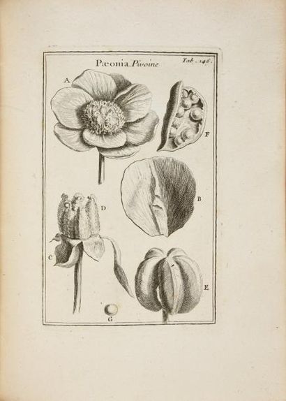 Joseph Pitton de TOURNEFORT Institutiones rei herbariae. Paris, Imprimerie royale,...