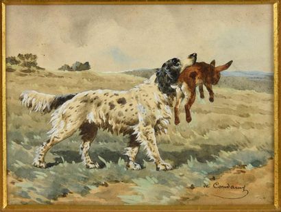 Charles-Ferdiand de Condamy (1847-1913) Setter au lièvre.
Aquarelle, signée en bas...