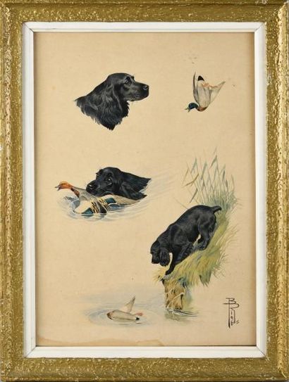 Boris Riab (1898-1975) Etude de cocker au canard.
Aquarelle, signée en bas à droite.
31...