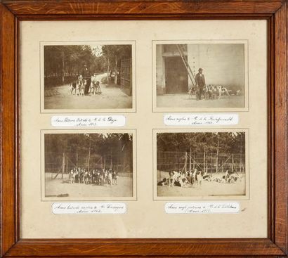 null Quatre photographies encradrées:
Chiens Poitevins Batards à M de la Besge. 1863.
Chiens...