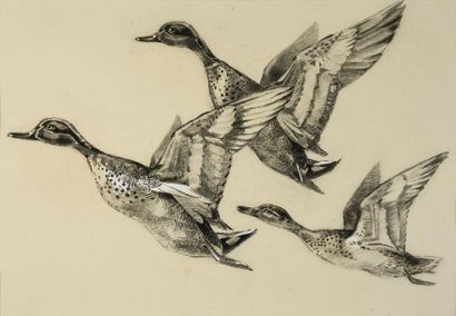 JP. Maurice BOYRIE (XXe) 
3 études: canard en vol, paysage, antilope.
Crayon et craie...