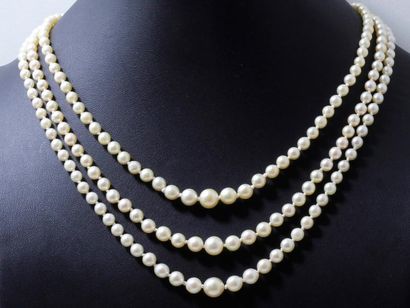 null Collier composé de 3 chutes de perles de culture d'environ 3.5 à 7.9 mm. Il...