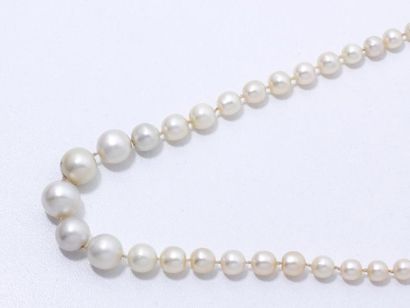 null Collier composé d'une chute de perles fines d'environ 3.6 à 9.8 mm et d'une...