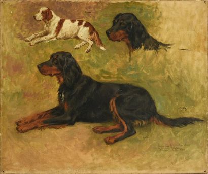 Georges Frédéric ROTIG (1873 - 1961) 
Etude pour le portait des chiens de Félix Faure...