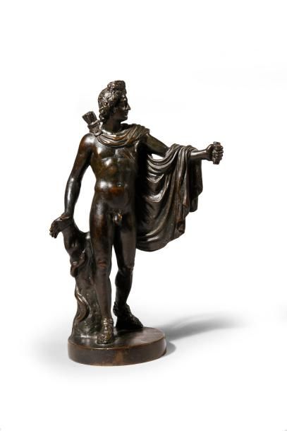 D'après l'Antique 
L'Apollon du Belvédère.
Bronze à patine brun noir (manque un pouce).
H.:...