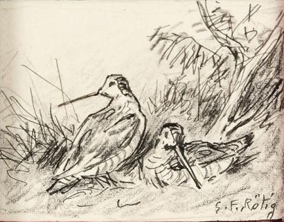 Georges Frédéric ROTIG (1873 - 1961) Etude de Bécasses. crayon et encre. 5 x 5,5...