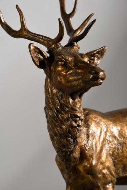 Alfred DUBUCAND (1828 - 1894) 
Grand cerf à l'écoute.
bronze à patine brune mordorée,...