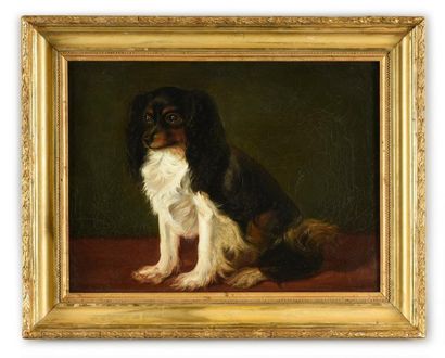 ECOLE ANGLAISE DU XIXe SIÈCLE Chien King Charles Toile
31 x 41 cm