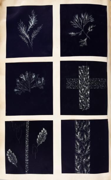 null Album de maquettes gouachées de soieries, 1890-1891, belles fleurs au naturel...