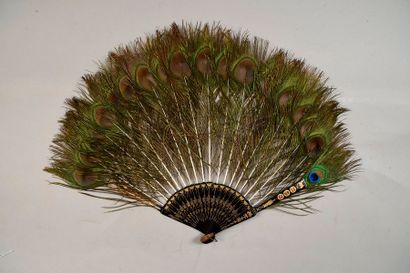 null Paon blanc, vers 1900-1920
Eventail en plumes de paon blanc. Monture en os.
H.t....