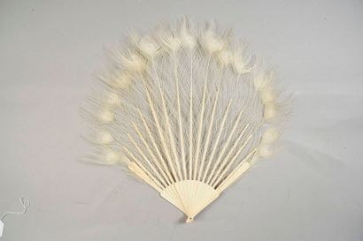 null Ocelles de paon, vers 1900-1920
Eventail en plumes de paon. Monture en bambou...
