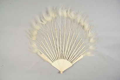 null Ocelles de paon, vers 1900-1920
Eventail en plumes de paon. Monture en bambou...