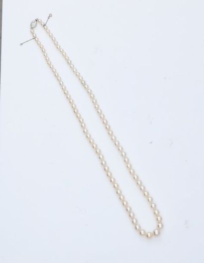 BOUCHERON Paris 
Délicat collier composé d'une chute de 87 perles fines d'environ...