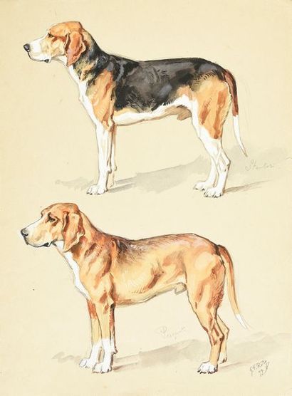 Georges Frédéric ROTIG (1873 - 1961) 
Stantor et Percant. Etude pour deux chiens...