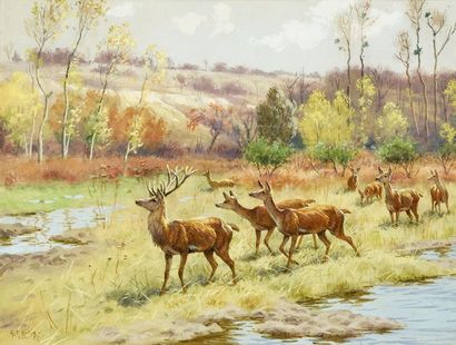 Georges Frédéric ROTIG (1873 - 1961) 
Harde de cerfs
Aquarelle gouachée, signée en...