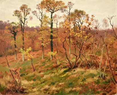 Georges Frédéric ROTIG (1873 - 1961) 
Deux vues de la forêt de Fontainebleau Toiles,...