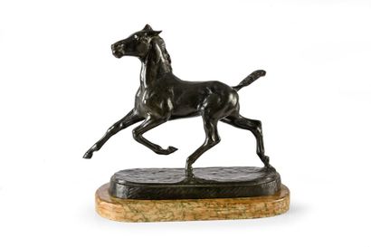 Albert HINRICH HUSSMANN (1874 - 1946) 
Poulain en course.
Bronze à patine noire,...