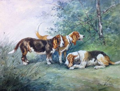 René VALETTE (1874-1956) 
Relais de chiens de bassets
Aquarelle gouachée, signée...
