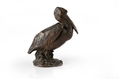 Charles PAILLET (1871-1937) 
Pélican.
Epreuve en bronze à patine brune. Monogrammée...